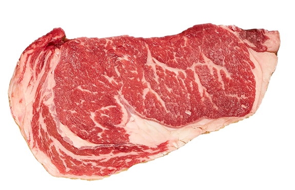 Le Razze di Gio Porro