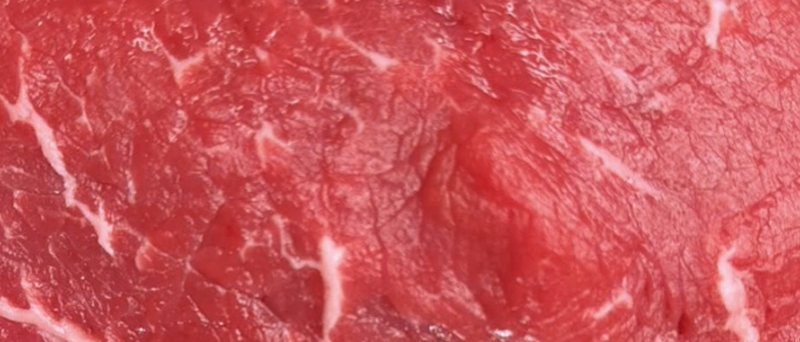 Fassone di Razza Piemontese - COALVI