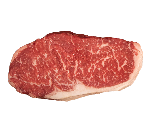 Le Razze di Gio Porro